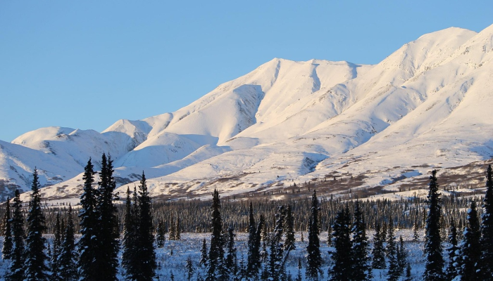 内格罗西部政府希望在12月批准NIR