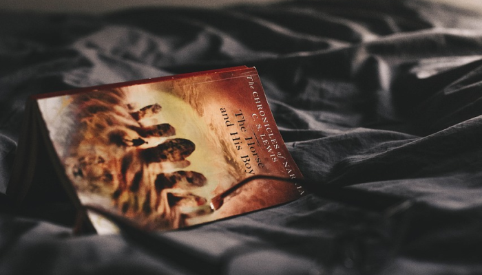 法国黑客被美国监禁 法国黑客被美国监禁