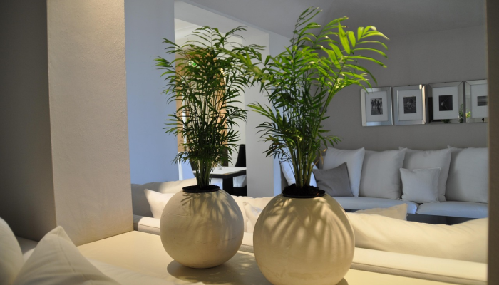 最新教你“天酷大厅可以开挂吗”(原来确实是有挂)