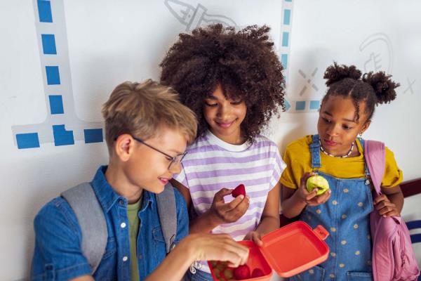 午餐盒政治：返校提示和建议