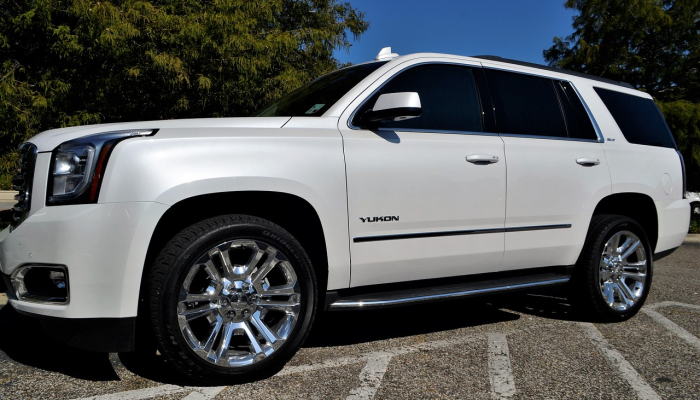 莱德基巡航1500米自由赢得诺克斯维尔