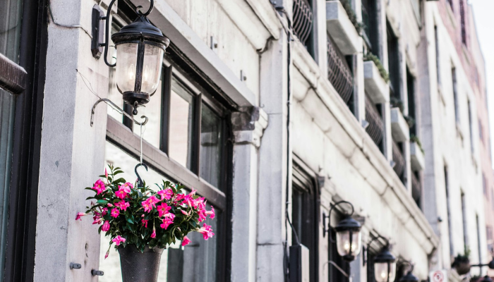 开挂辅助工具“宁波世纪茶馆有挂吗”分享用挂教程