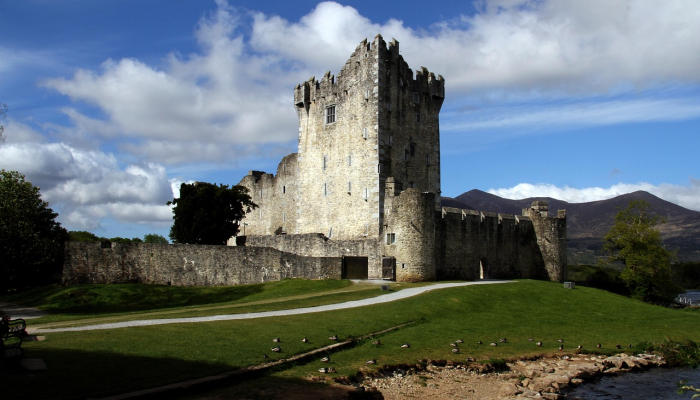 爱尔兰训练传奇人物穆林斯沉浸在历史中