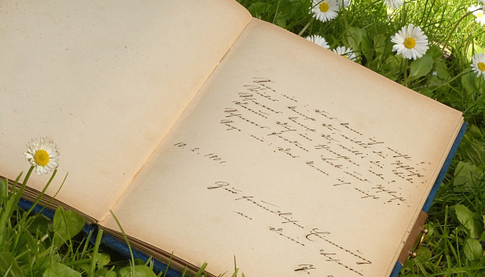 记录十七岁的9年旅程的专辑发行