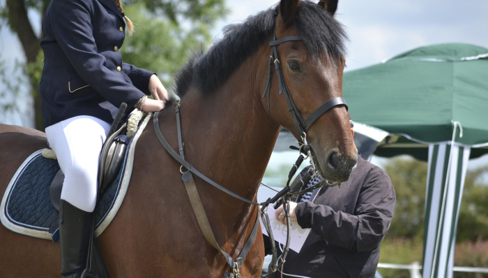 泰勒·斯威夫特的时代之旅电影吓得魔鬼出来的一个主要票房竞争对手