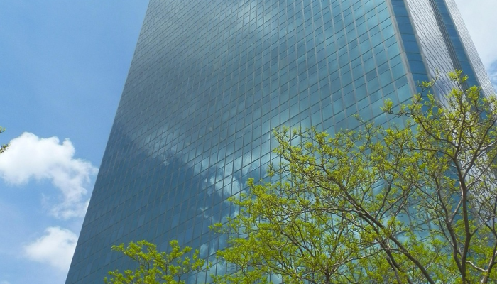 期权释放：驾驭衍生品交易的动态世界