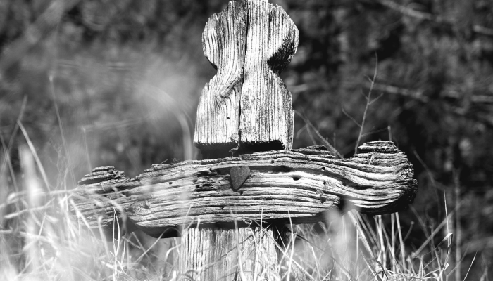 女儿被流弹打死的母亲为改变而战：“够了”