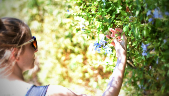 有原因的叛逆?为什么最受争议的孩子麻花莫伊特拉会让TMC老板马玛塔想起自己 有原因的叛逆?为什么最受争议的孩子麻花莫伊特拉会让TMC老板马玛塔想起自己