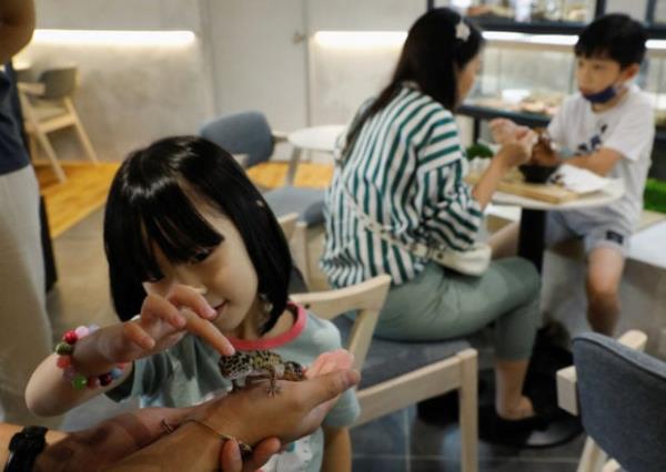 蛇、蜥蜴和甜点在马来西亚第一家爬行动物咖啡馆相遇