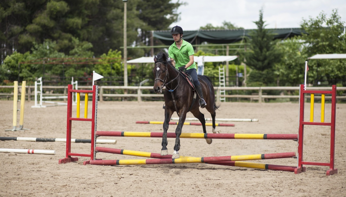 救援人员说,骑手被马绊倒,在科罗拉多山上可怕地摔倒 救援人员说,骑手被马绊倒,在科罗拉多山上可怕地摔倒