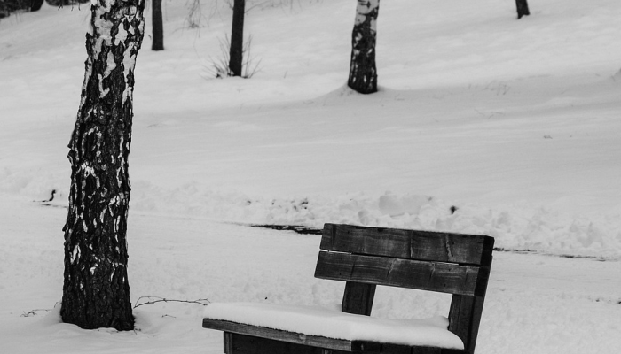 普拉达冬季男装的“办公室与自然 普拉达冬季男装的“办公室与自然