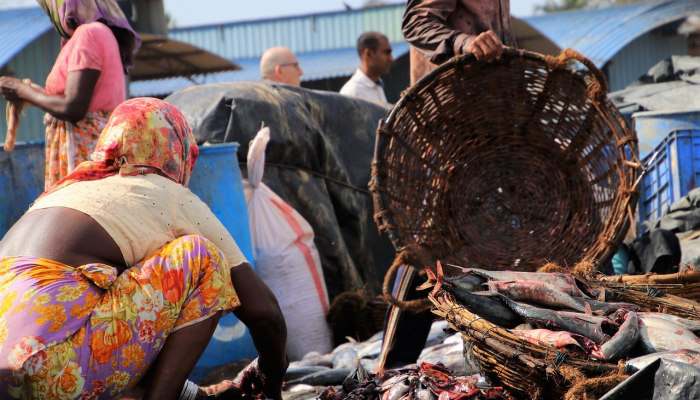罗纳尔多打破沙特职业联赛进球纪录