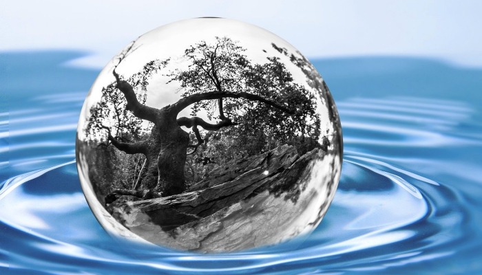 如何保护自己免受李斯特菌和其他食源性细菌的感染 如何保护自己免受李斯特菌和其他食源性细菌的感染