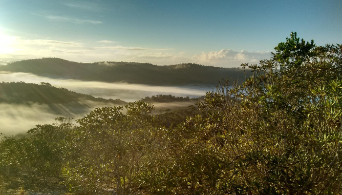 巴西亚马逊地区面临灾难性干旱 巴西亚马逊地区面临灾难性干旱