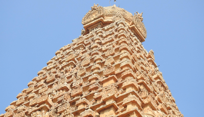 这家著名的泰米尔纳德邦面包店为圣诞节制作了巨大的鳄鱼形蛋糕 这家著名的泰米尔纳德邦面包店为圣诞节制作了巨大的鳄鱼形蛋糕