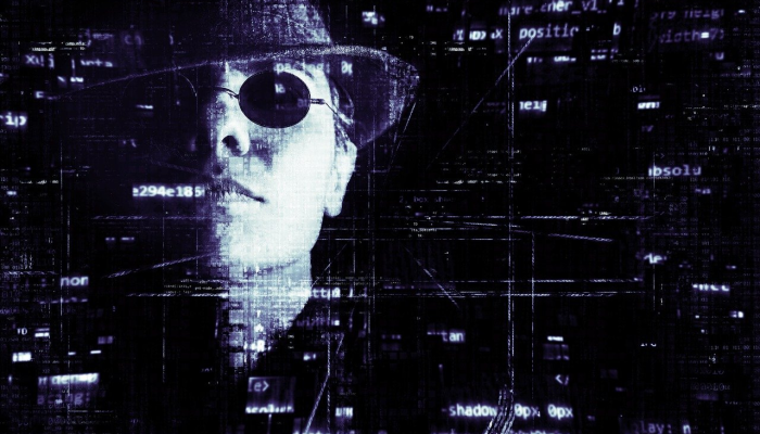 网络攻击无法阻止NRLW骑士队的明星罗奇 网络攻击无法阻止NRLW骑士队的明星罗奇