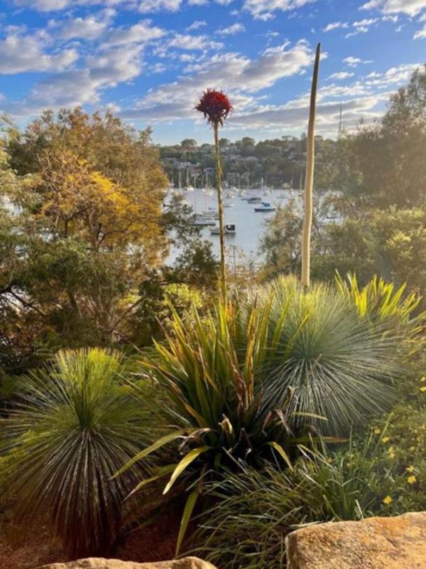 Woodford Bay foreshore. Picture Instagram.JPG