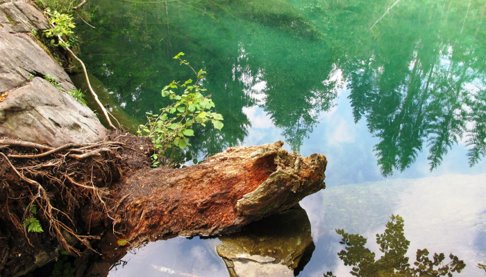 帕利塞德斯塔霍湖的目击者讲述了帮助雪崩救援的经历 帕利塞德斯塔霍湖的目击者讲述了帮助雪崩救援的经历