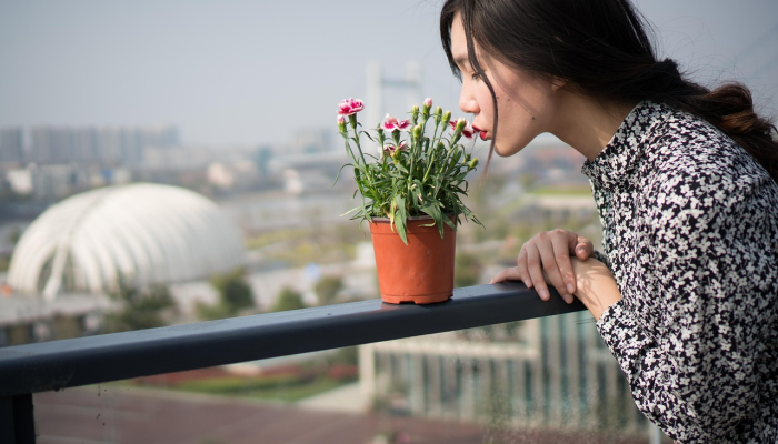 我不会再给他时间了《单身女郎》回应的是她送回家的一个男人