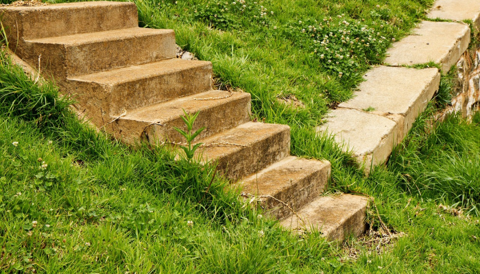 狩猎岛以前也被风暴掀翻过伊达利亚是如何破坏州立公园的? 狩猎岛以前也被风暴掀翻过伊达利亚是如何破坏州立公园的?