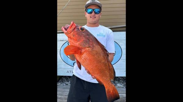 实测辅助“越乡游义乌麻将怎么开挂”(曝光透视必备猫腻)