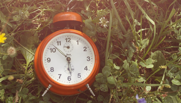 1分钟学会“天天休闲可以开挂吗”详细开挂玩法 1分钟学会“天天休闲可以开挂吗”详细开挂玩法