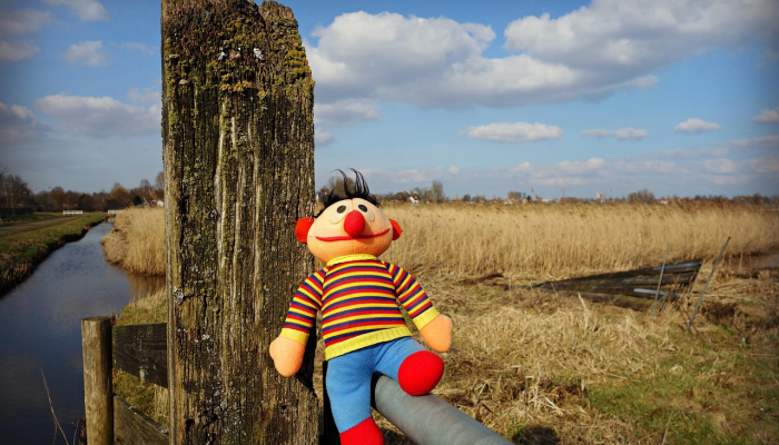 最新教你“博乐填大坑有挂吗”其实确实有挂