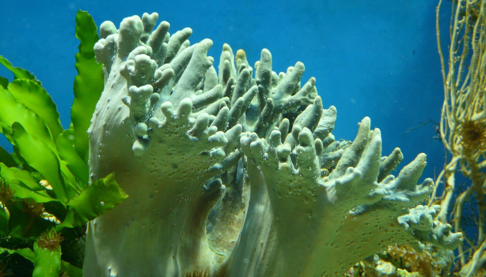 弹出式农业豆荚帮助殖民者在火星上种植作物