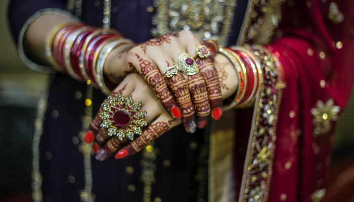 印度芒果节在瓦奇夫市场开幕