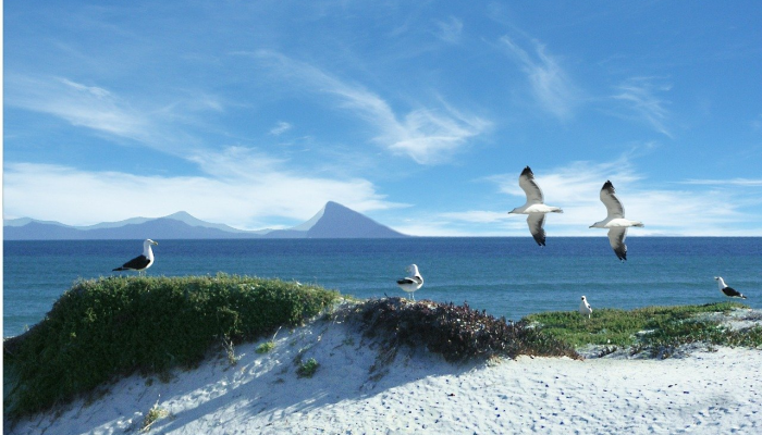体育部纪念海湾青年日