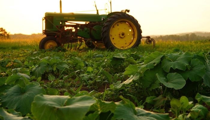 将195.89公顷土地分配给北哥大巴托的土地改革受益者