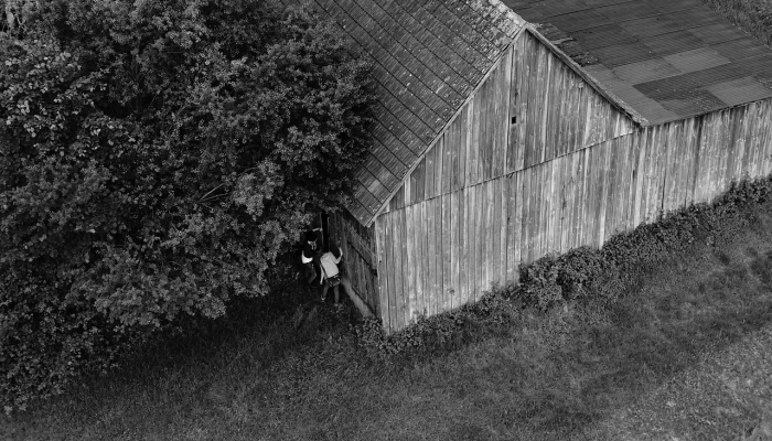 在加藏的排水沟里发现了一具尸体 在加藏的排水沟里发现了一具尸体