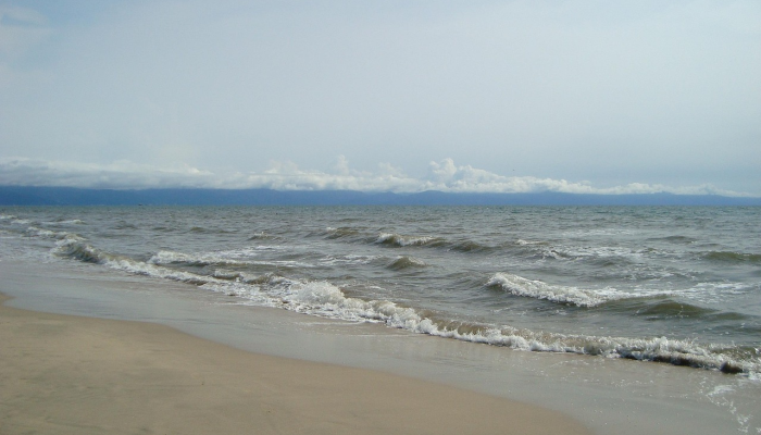 拜登考虑在墨西哥湾进行首次海上风电拍卖 拜登考虑在墨西哥湾进行首次海上风电拍卖