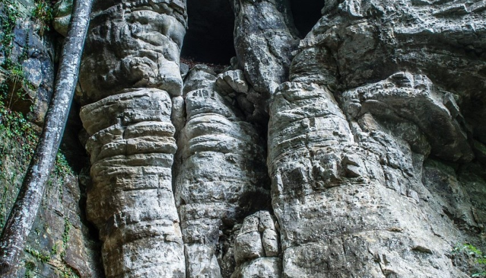 巴西的塞拉达卡皮瓦拉洞穴壁画正面临威胁