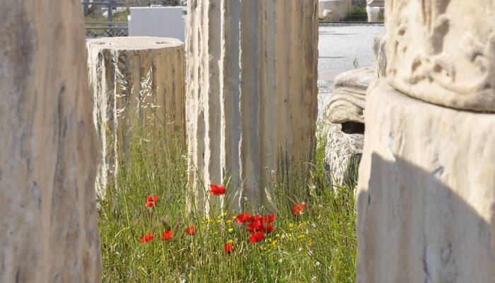希腊、土耳其、保加利亚猛烈的风暴、洪水造成的死亡人数上升到15人 希腊、土耳其、保加利亚猛烈的风暴、洪水造成的死亡人数上升到15人