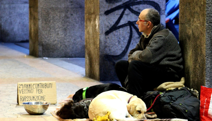 佛罗里达州警方称,12岁的孩子在上学前被狗追到马路上,被狗撞死 佛罗里达州警方称,12岁的孩子在上学前被狗追到马路上,被狗撞死