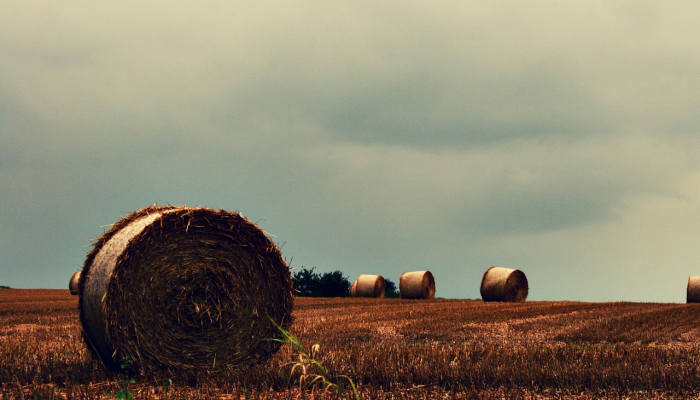 11个州考虑对农业设备进行“修理权”