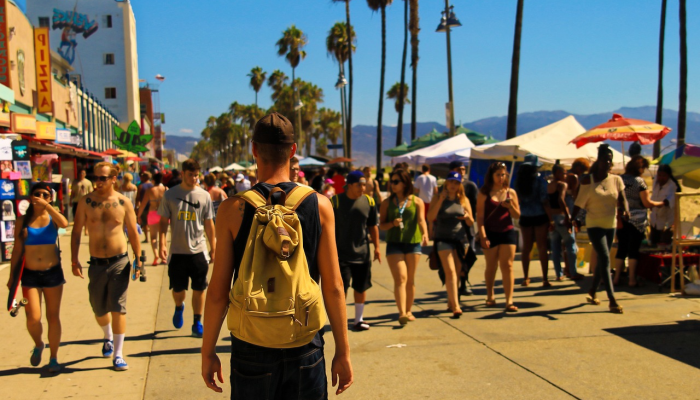 大卫·艾耶谈到养蜂人的机会 大卫·艾耶谈到养蜂人的机会