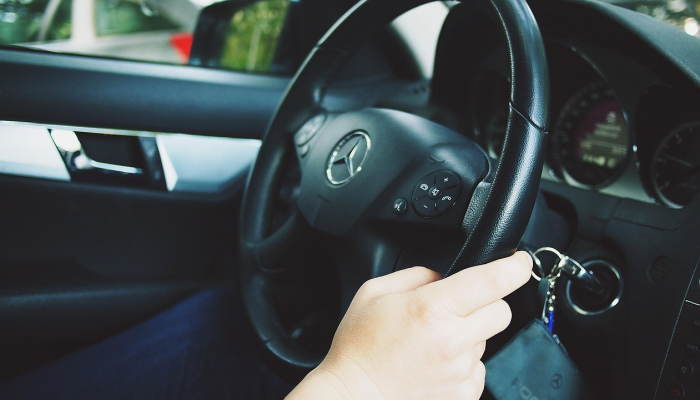 佛罗里达州将禁止狗狗把头伸出车窗外 佛罗里达州将禁止狗狗把头伸出车窗外