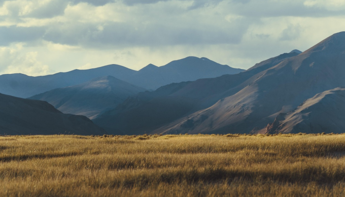 加沙地带:20年来《世界报》一直在报道这片越来越难以进入的领土 加沙地带:20年来《世界报》一直在报道这片越来越难以进入的领土