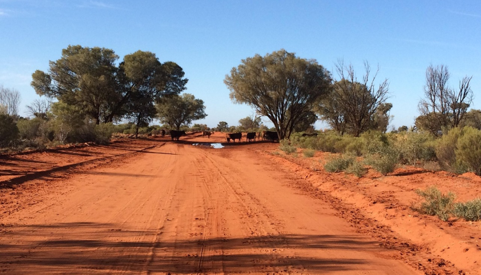加沙地带:20年来《世界报》一直在报道这片越来越难以进入的领土 加沙地带:20年来《世界报》一直在报道这片越来越难以进入的领土