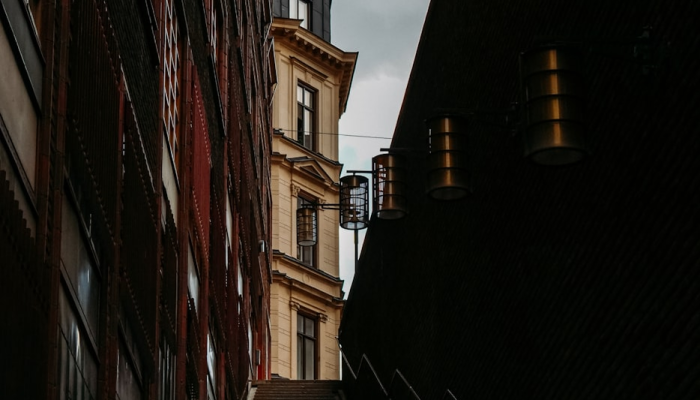 加拿大两名男子因宣扬极右翼恐怖主义被捕