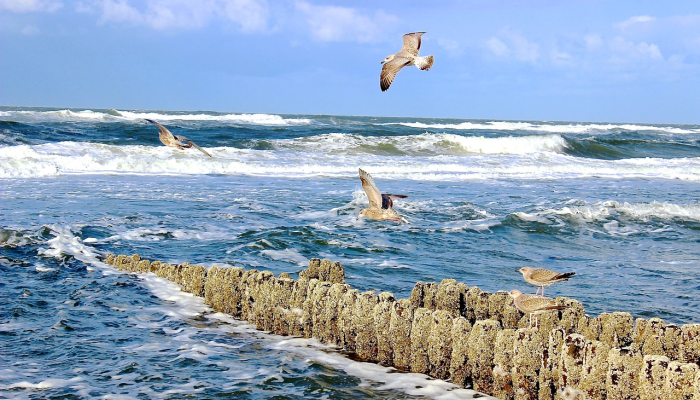 尼加拉瓜将在10年后再次关闭驻韩国大使馆 尼加拉瓜将在10年后再次关闭驻韩国大使馆